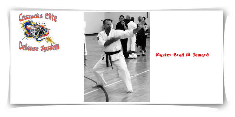 Sensei Brad Seward